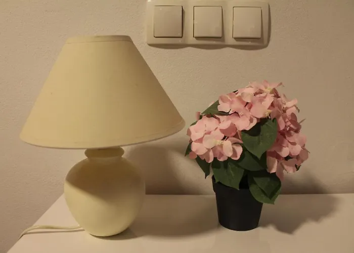 Holiday Apartments Zadar Zadar