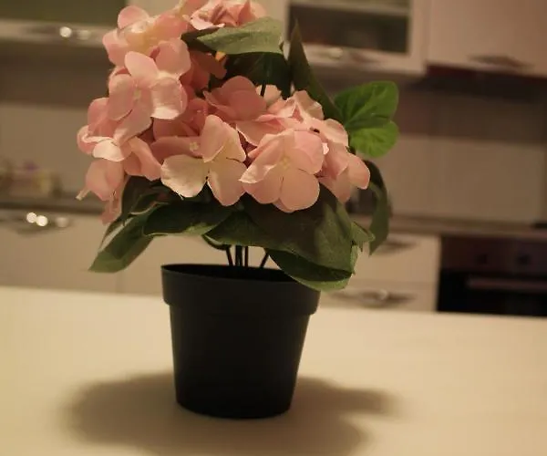 Holiday Apartments Zadar זאדאר